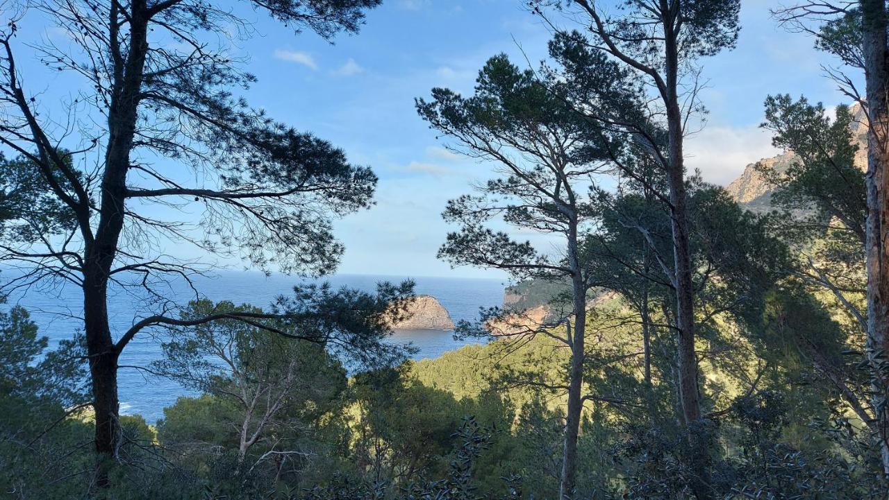 Villa Ideal Sóller Dış mekan fotoğraf